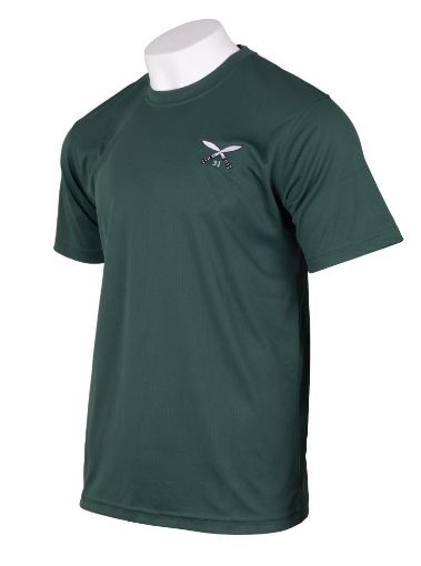 Picture of 31 Squadron QOGLR PT T-shirt