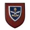Picture of Plaque - QGE Wooden Silk Screen (No Scroll)