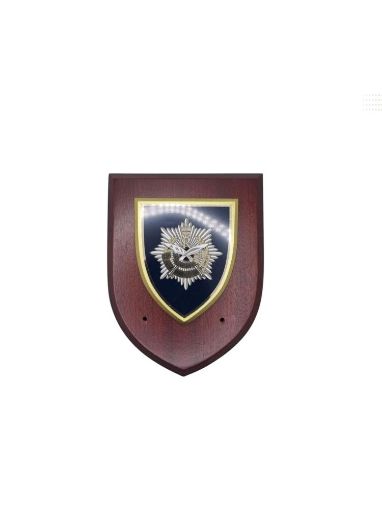 Picture of QOGLR Plaque - Wall Plaque - Blue Shield - No Scroll - Tudor Crown