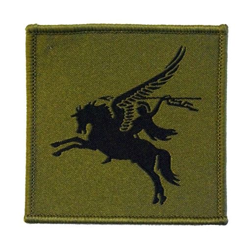 Picture of 16th Air Assault Brigade TRF - Pegasus L/F Olive - Pack of 5