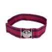 Picture of The QGE Stable Belt